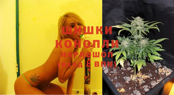 дурь Арсеньев