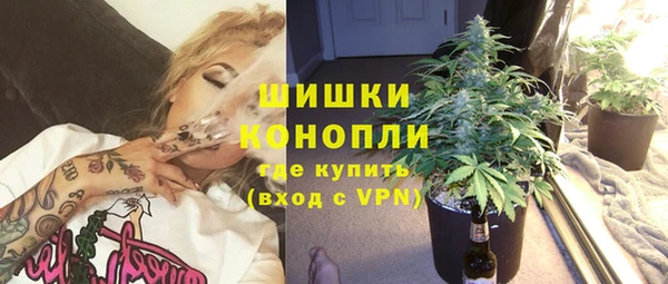 дурь Арсеньев